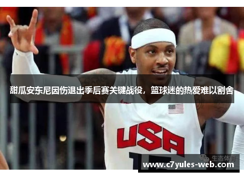 甜瓜安东尼因伤退出季后赛关键战役，篮球迷的热爱难以割舍