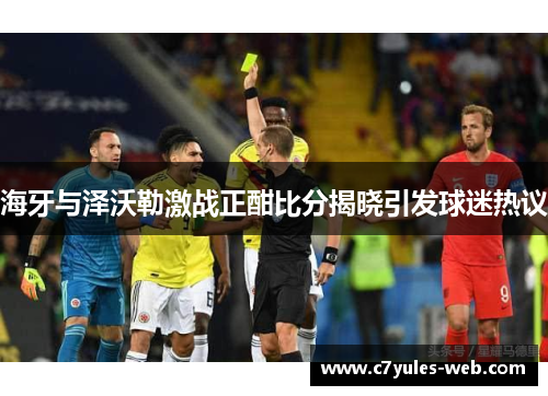 海牙与泽沃勒激战正酣比分揭晓引发球迷热议